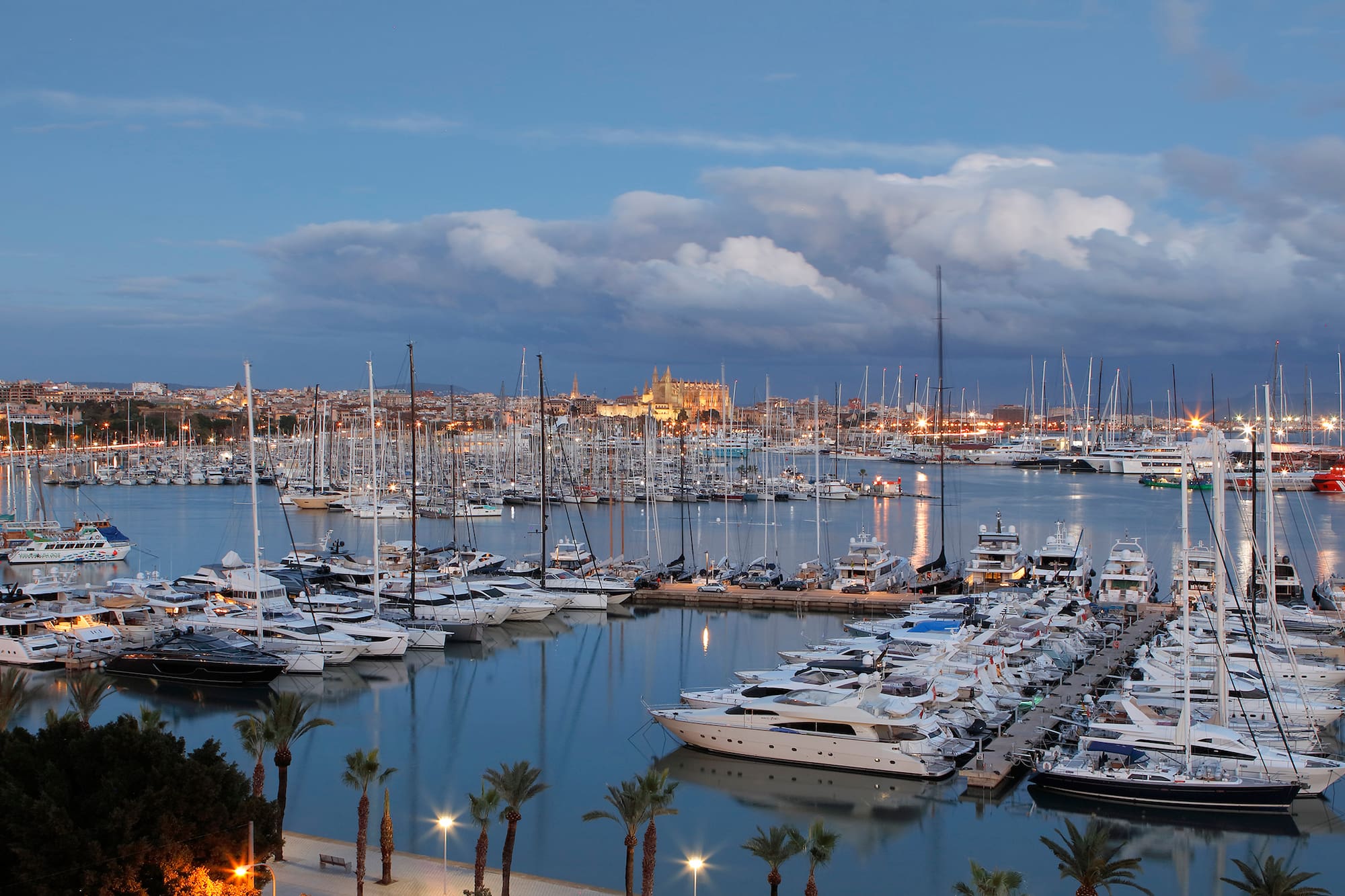 a marina full of boats
