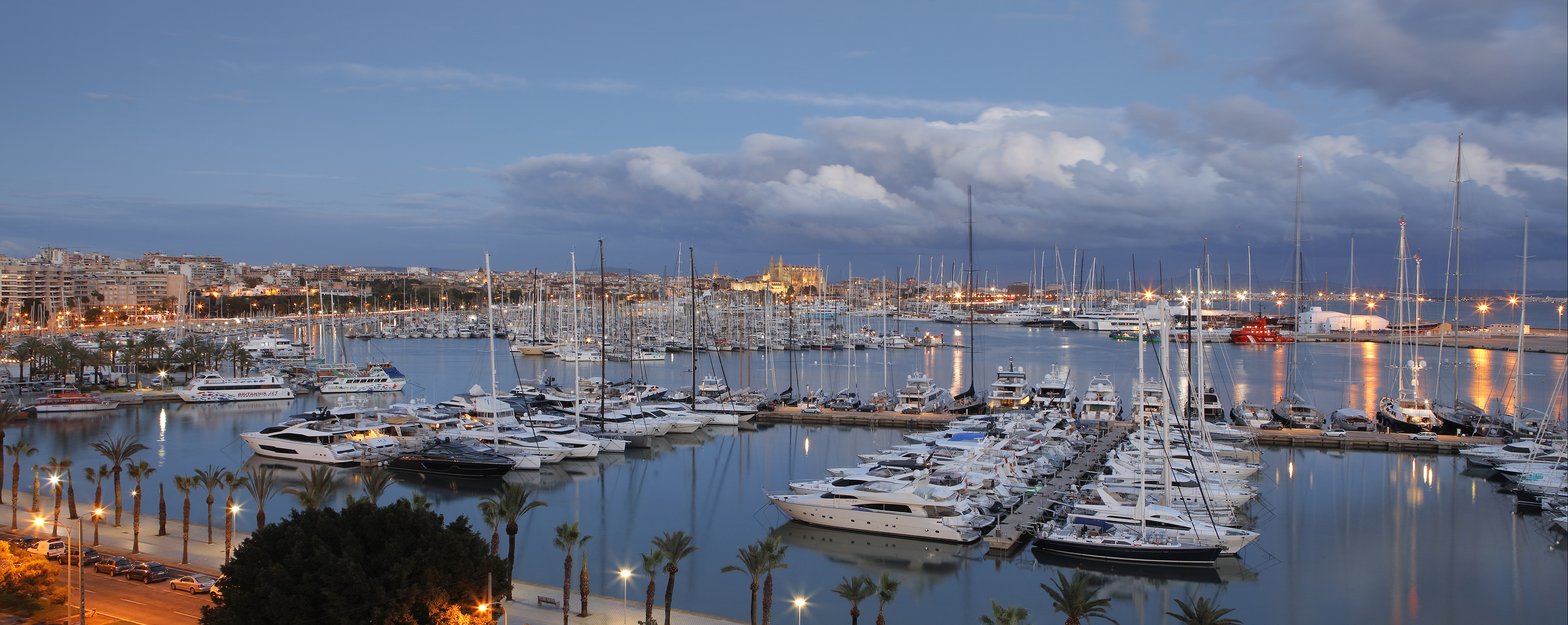 a marina full of boats