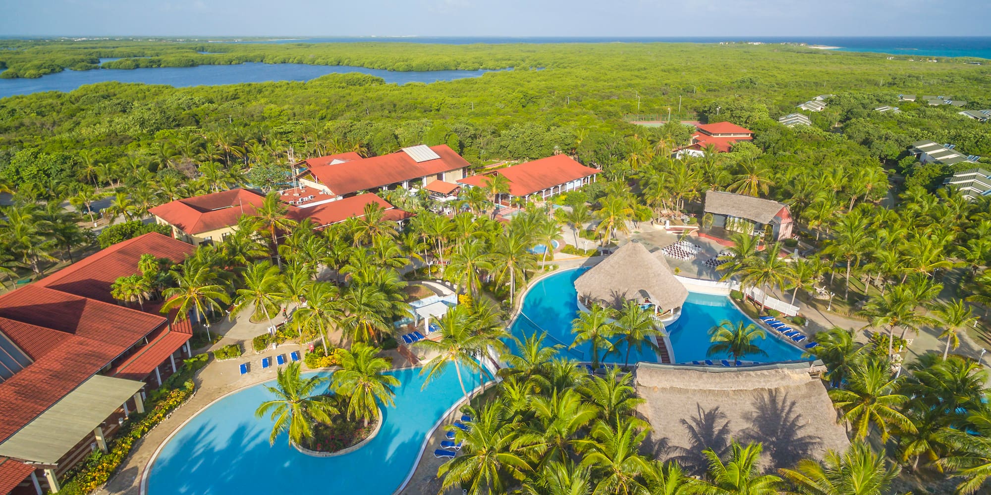 a swimming pool surrounded by trees