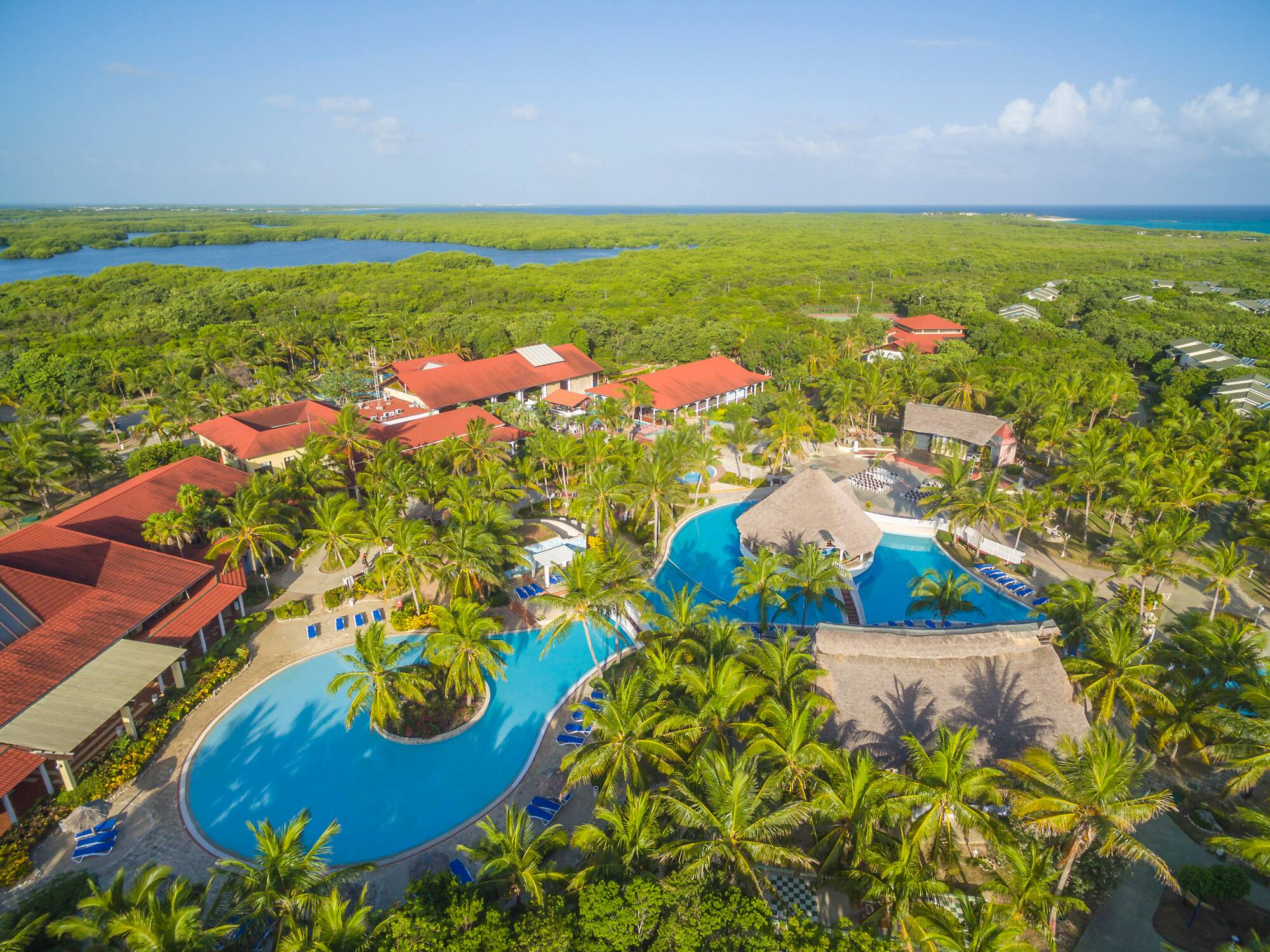 a swimming pool surrounded by trees
