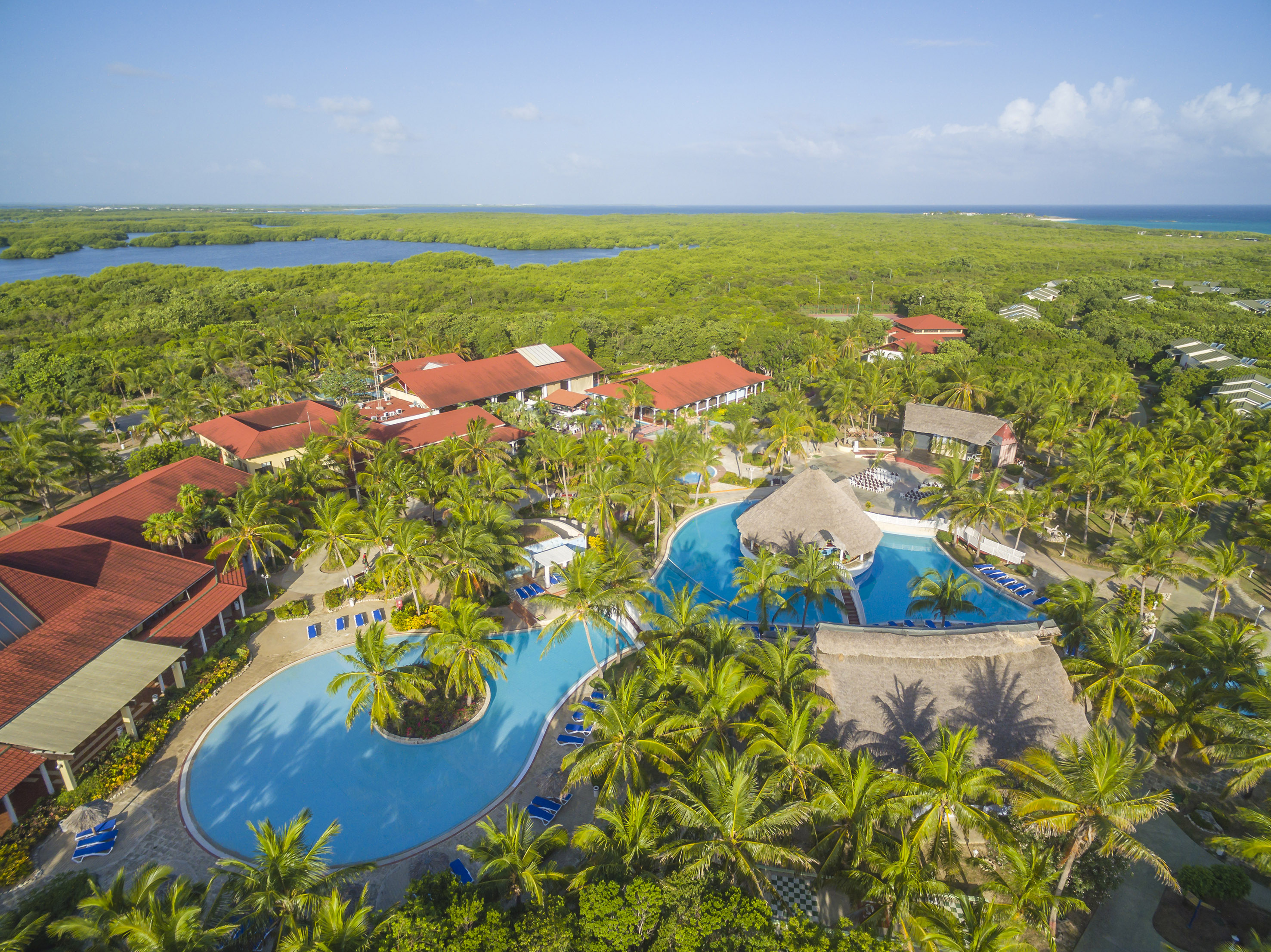 a swimming pool surrounded by trees