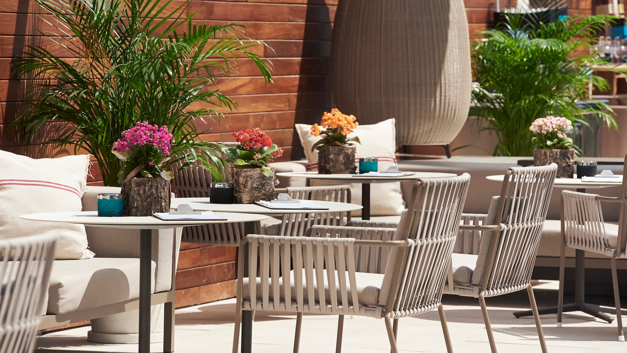 a table and chairs outside with plants
