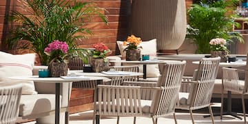 a table and chairs outside with plants