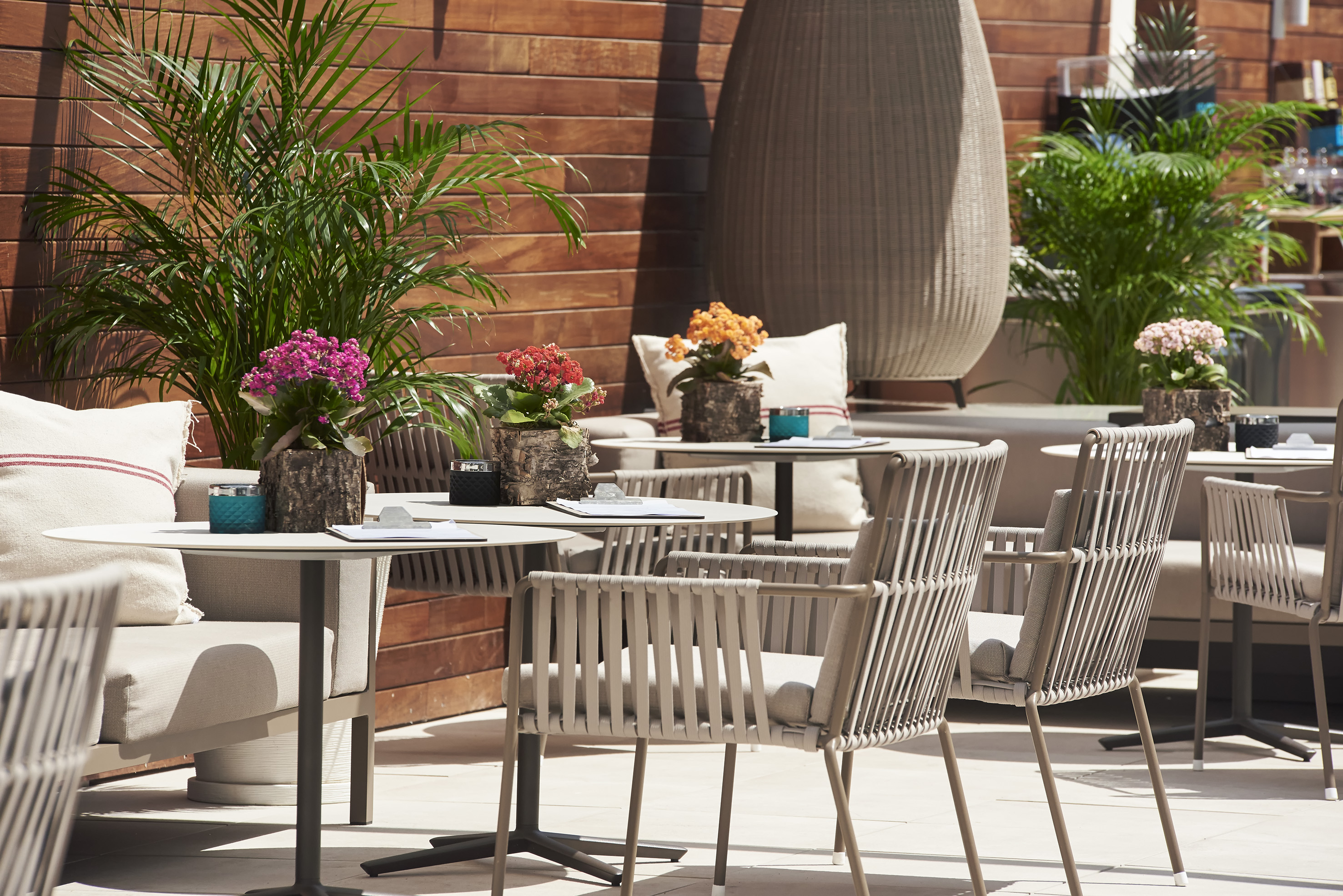 Sunny outdoor cafe patio with modern seating, round tables, and potted flowers.