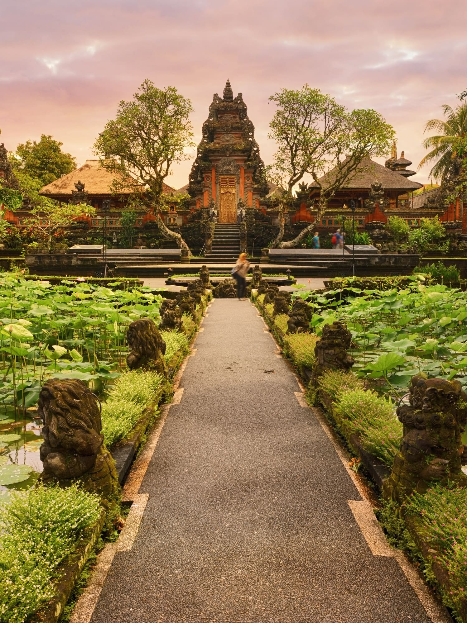 a path leading to a pond with water lilies and a building