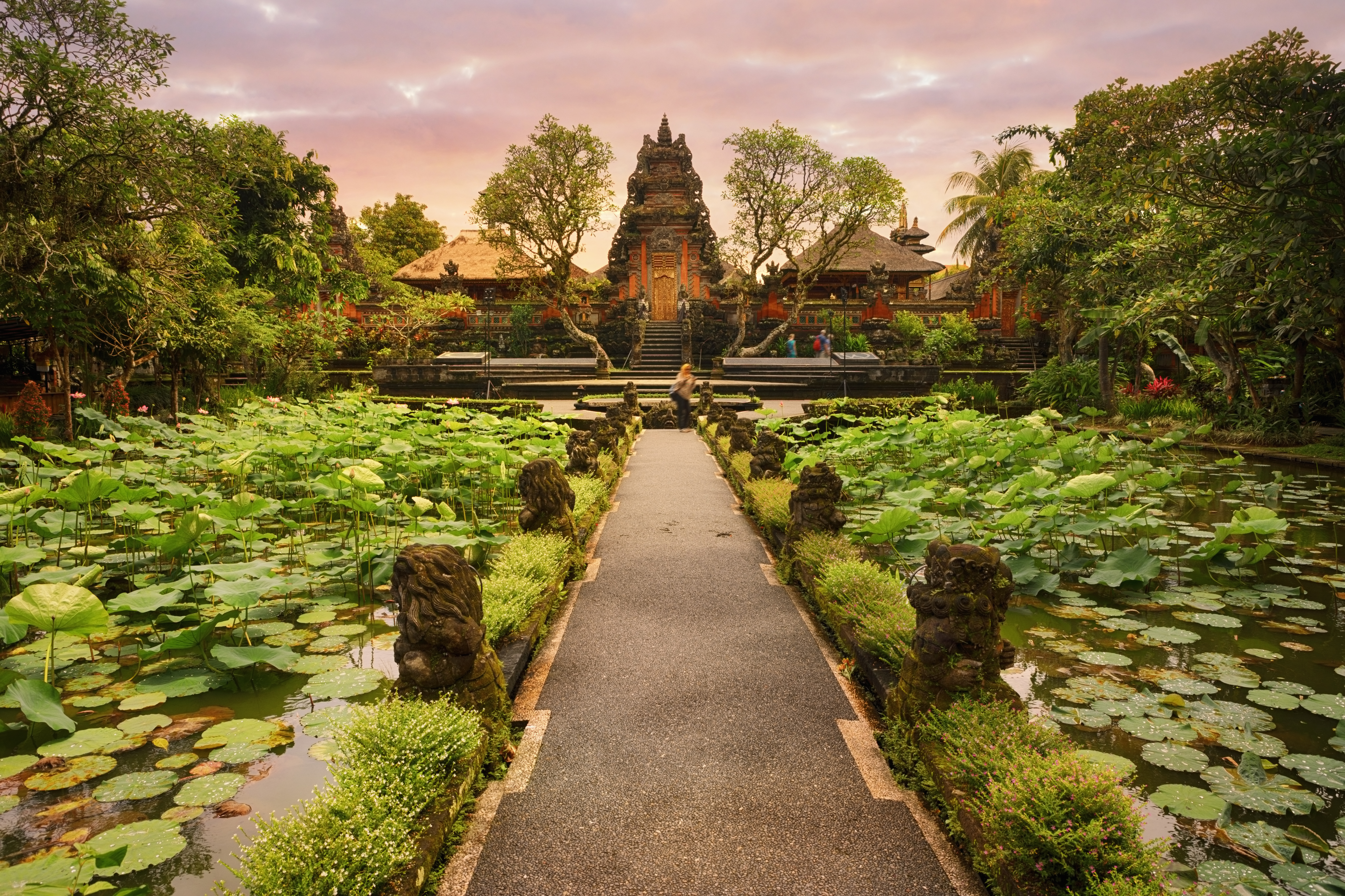 a path leading to a pond with water lilies and a building