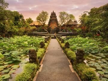 a path leading to a pond with water lilies and a building
