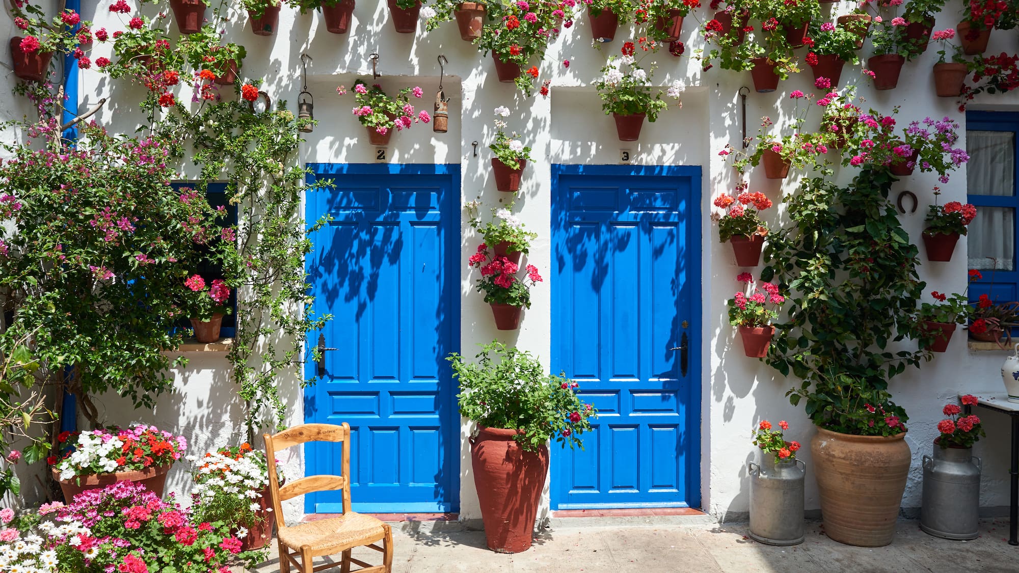 a blue doors and a chair with flowers on the wall