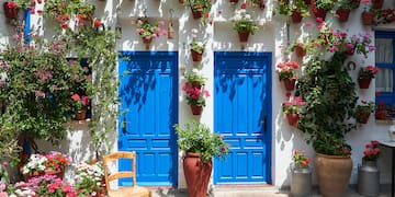 a blue doors and a chair with flowers on the wall