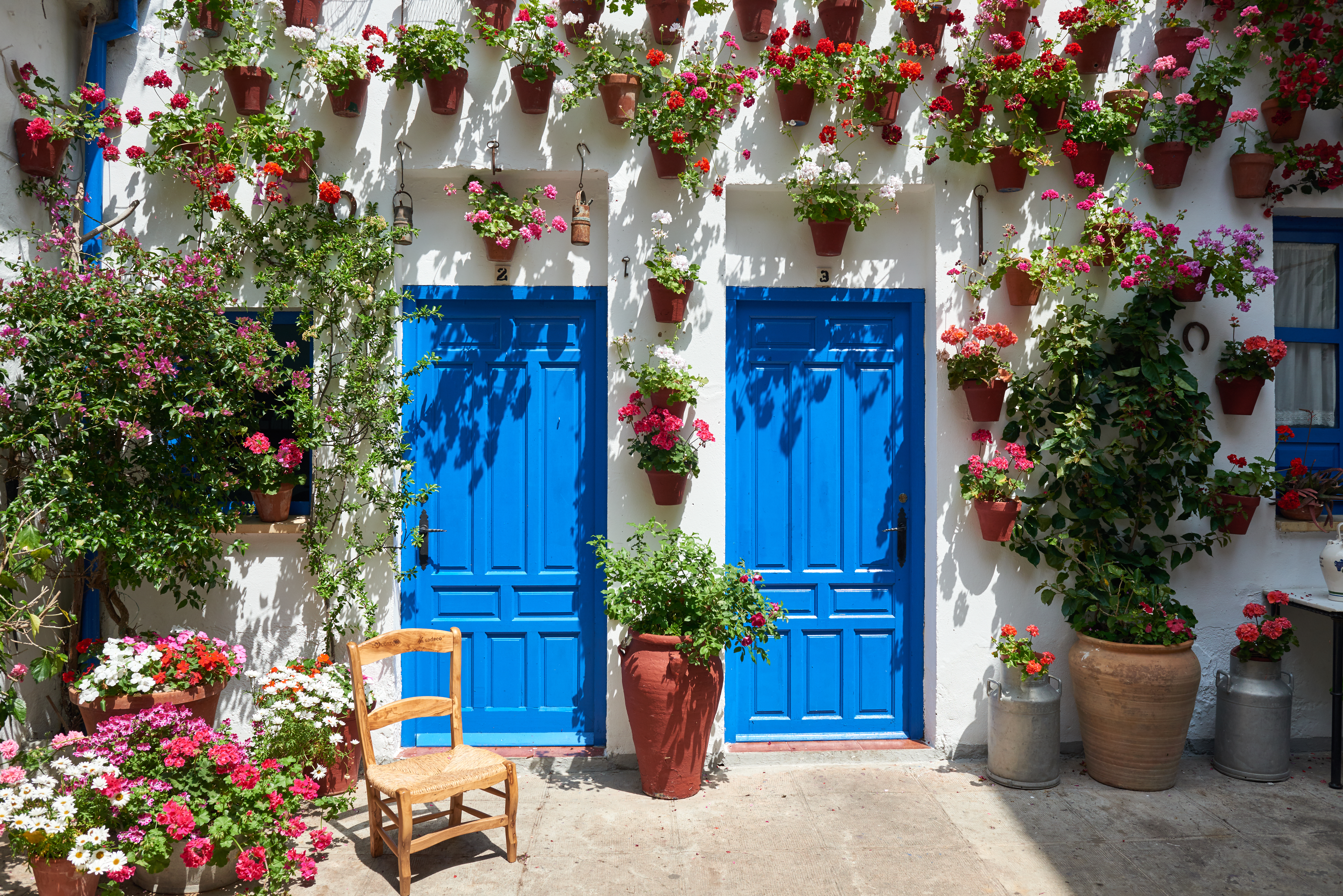 a blue doors and a chair with flowers on the wall
