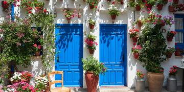 a blue doors and a chair with flowers on the wall