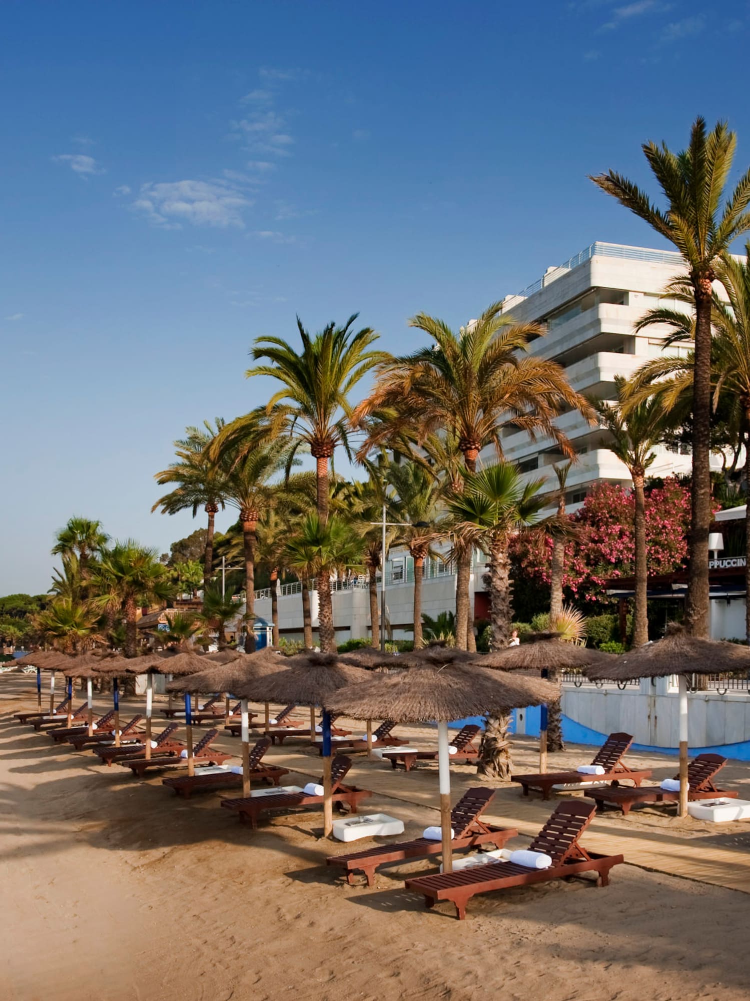 a beach with palm trees and lounge chairs