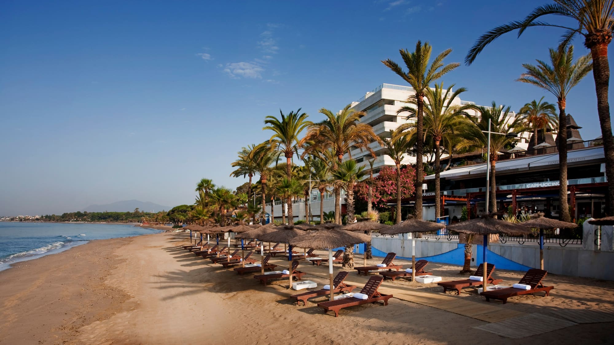 a beach with palm trees and lounge chairs