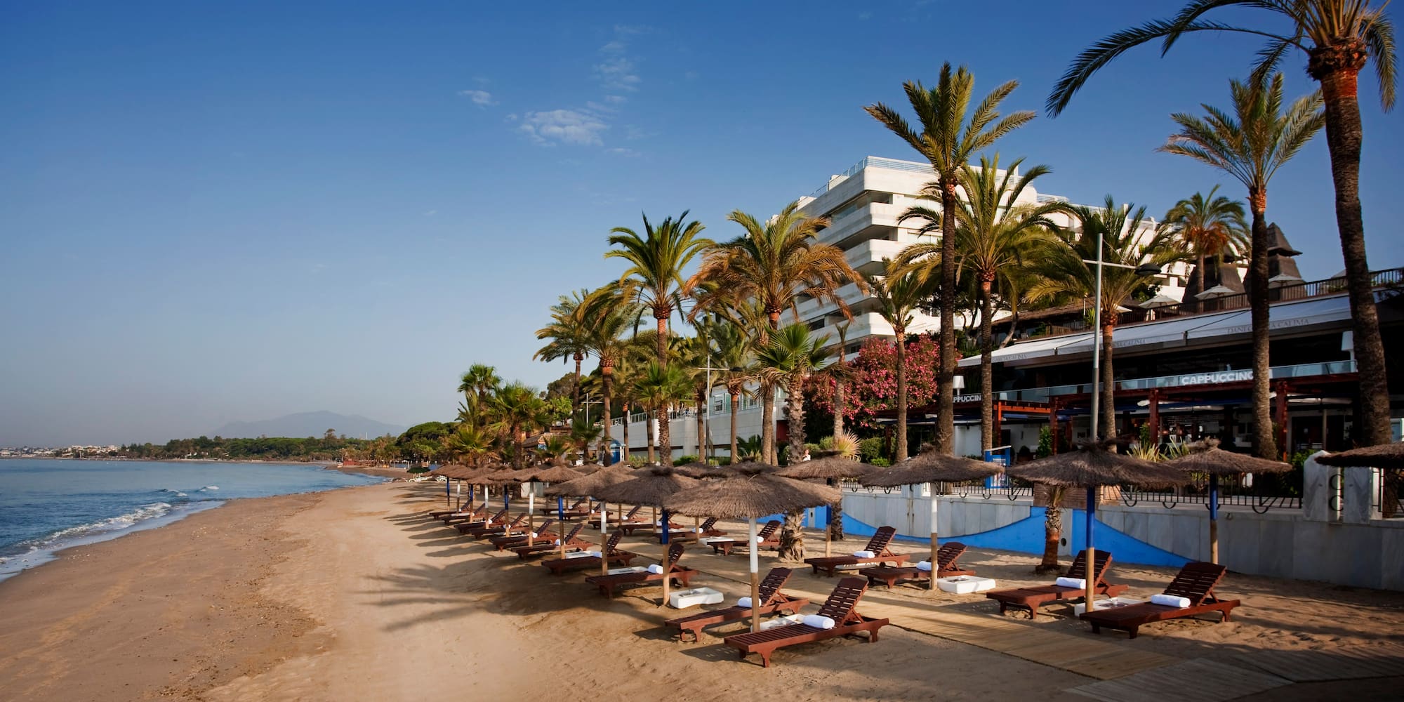 a beach with palm trees and lounge chairs