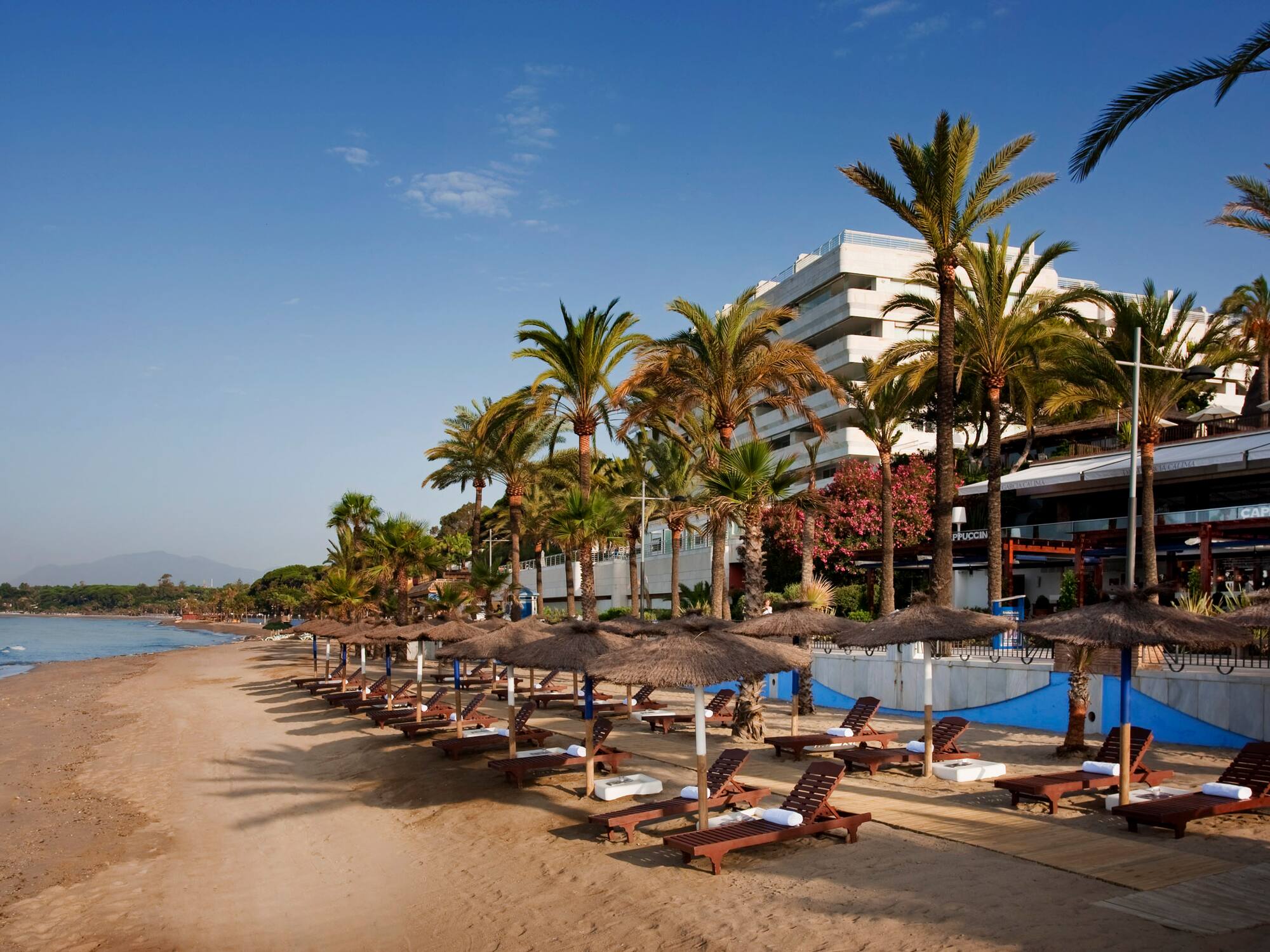 a beach with palm trees and lounge chairs