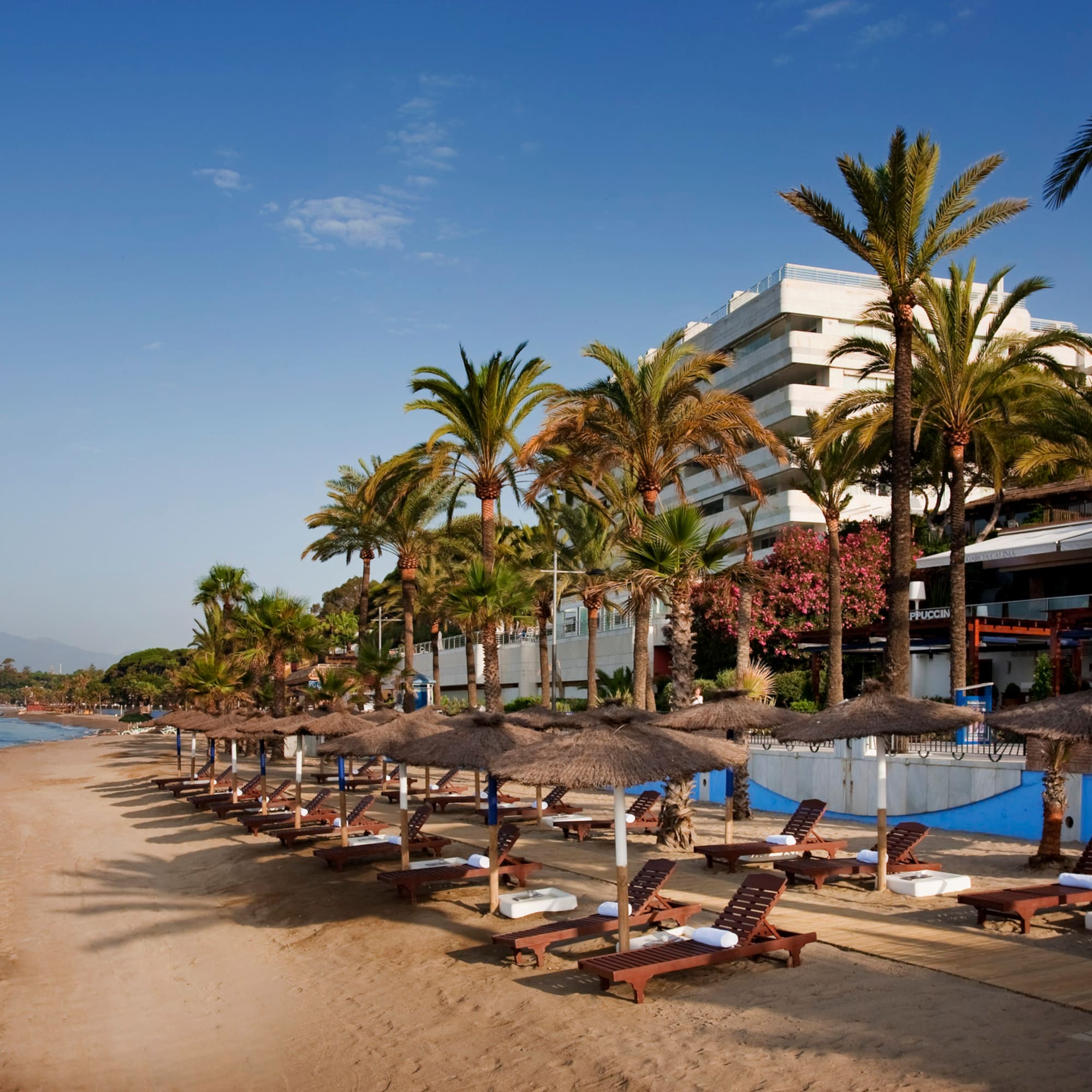a beach with palm trees and lounge chairs