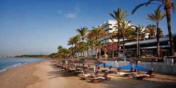 a beach with palm trees and lounge chairs