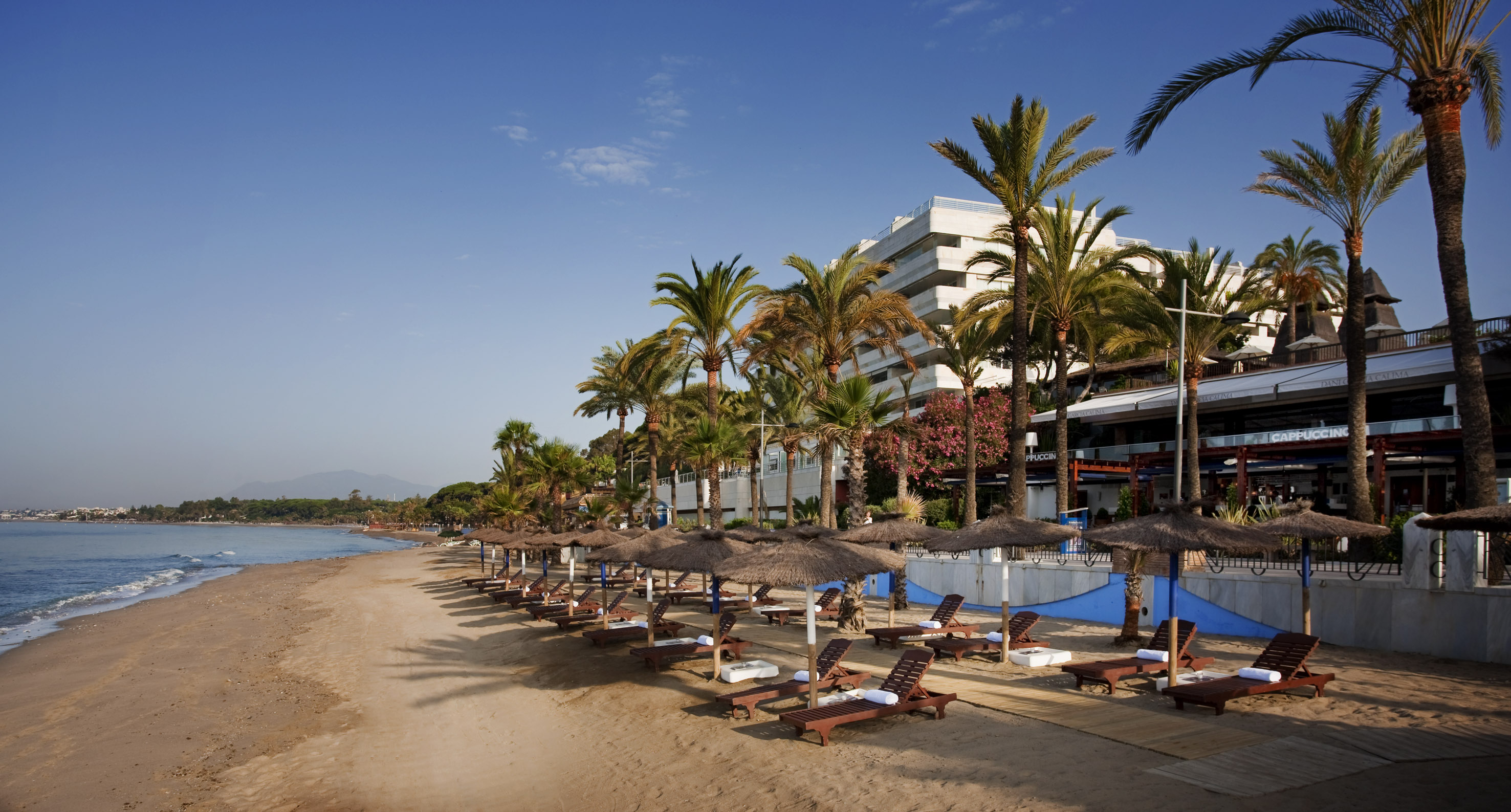 Beachfront hotel with sandy beach, palm trees, sun loungers, and sea.