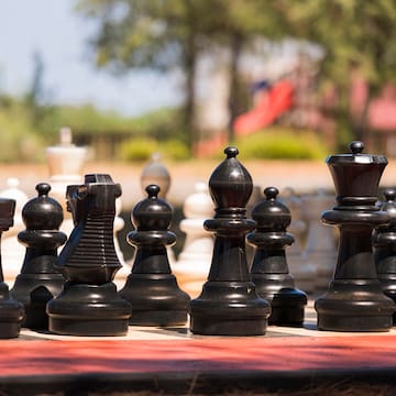 a chess board with black pieces