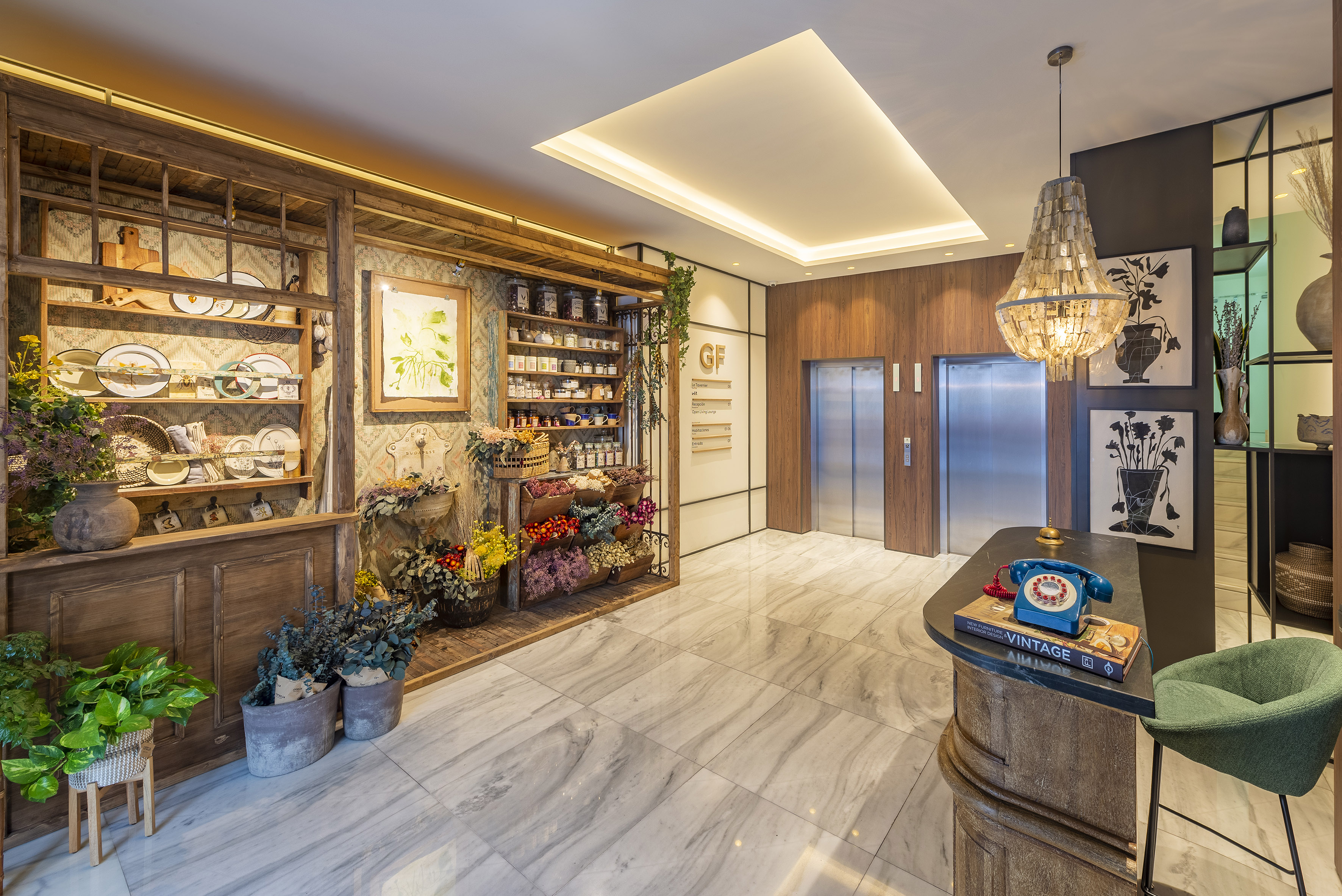 a room with a counter and shelves with plants and a chandelier