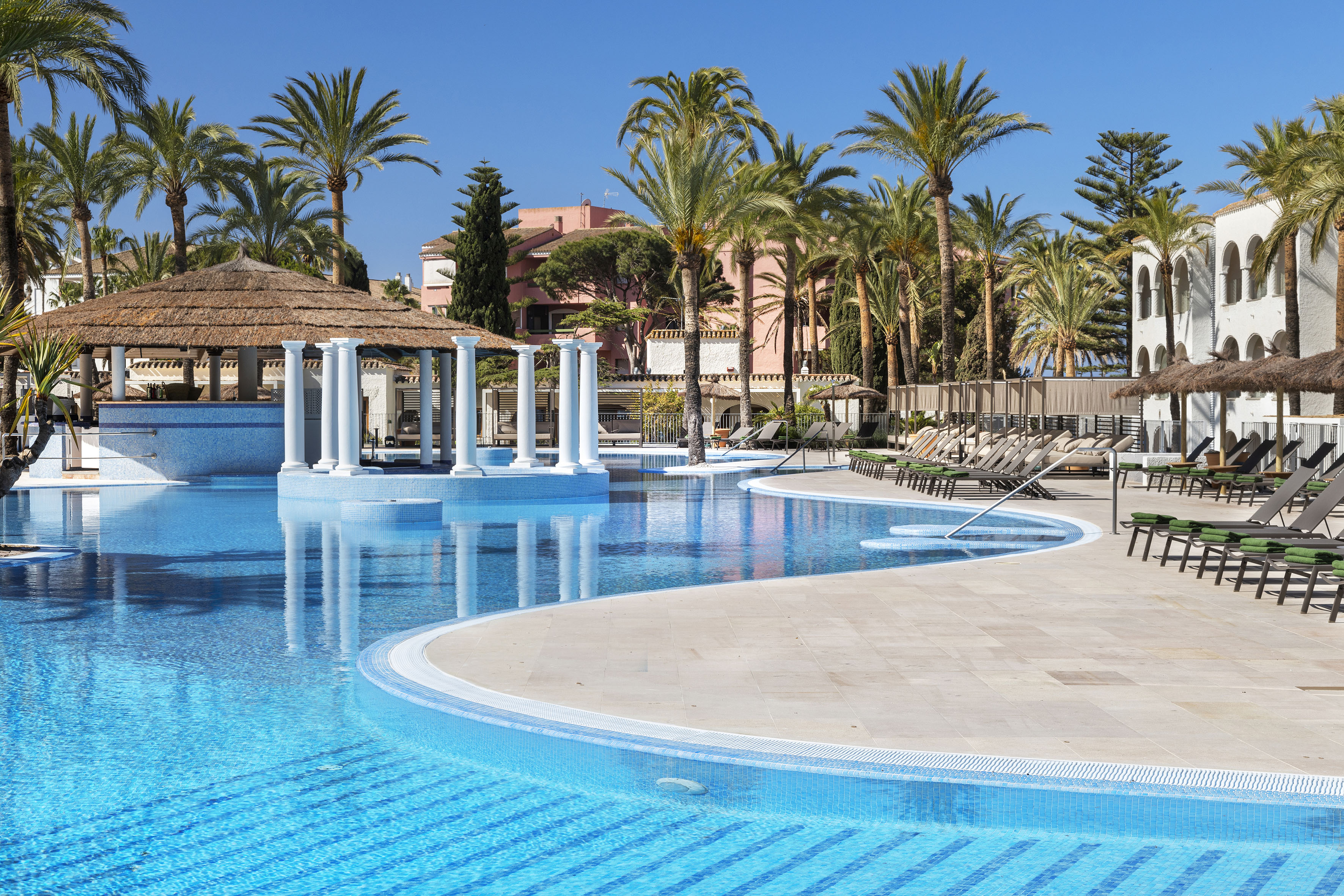 a pool with palm trees and a building
