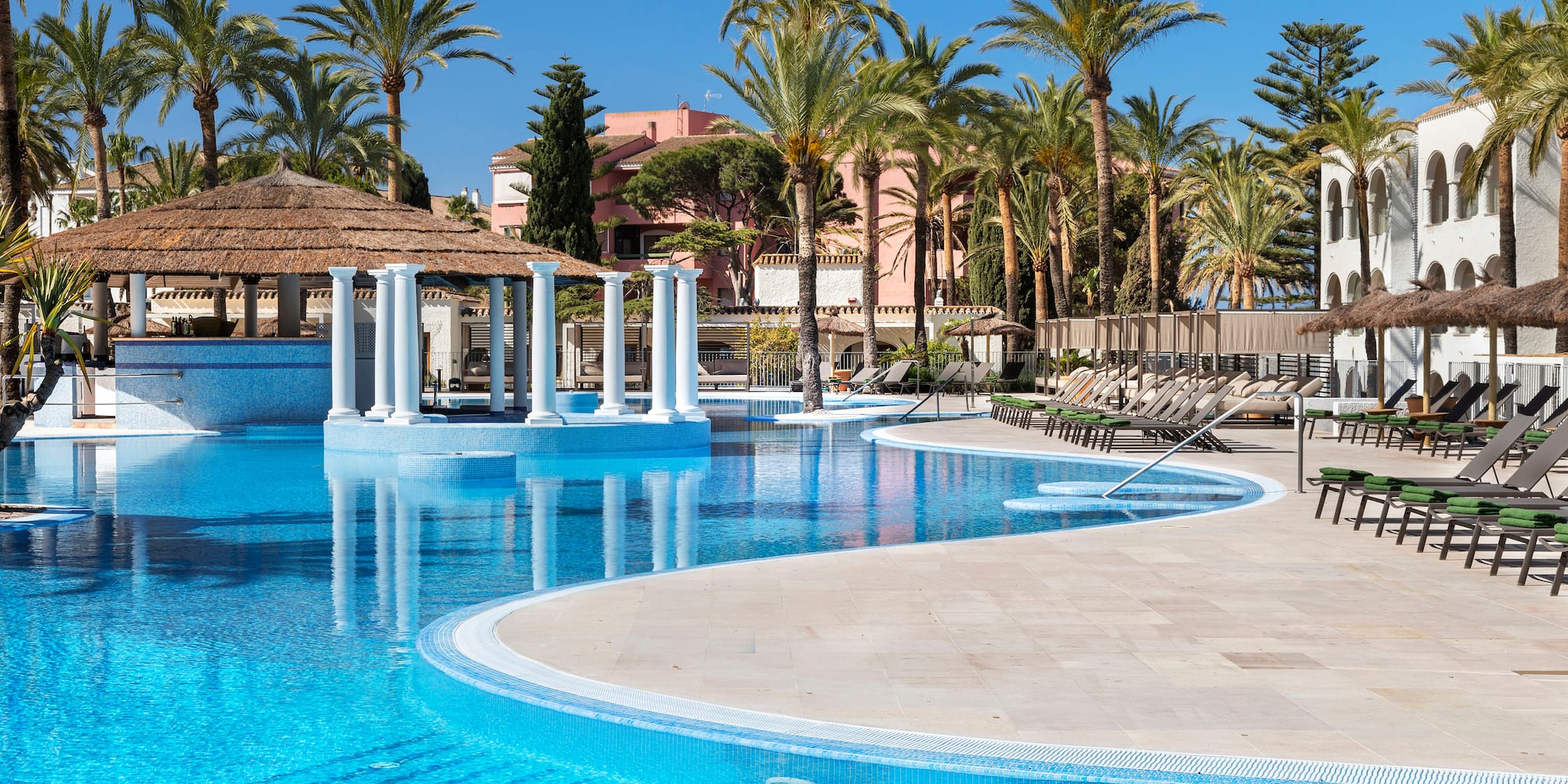 a pool with palm trees and a building