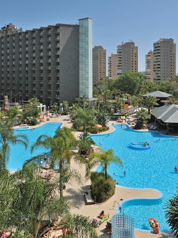 a swimming pool with palm trees and buildings in the background