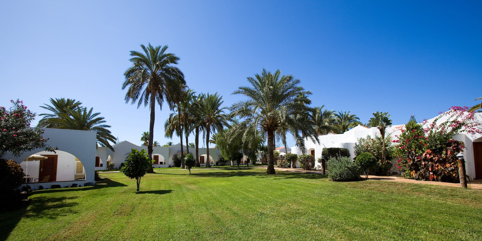 a lawn with palm trees and buildings