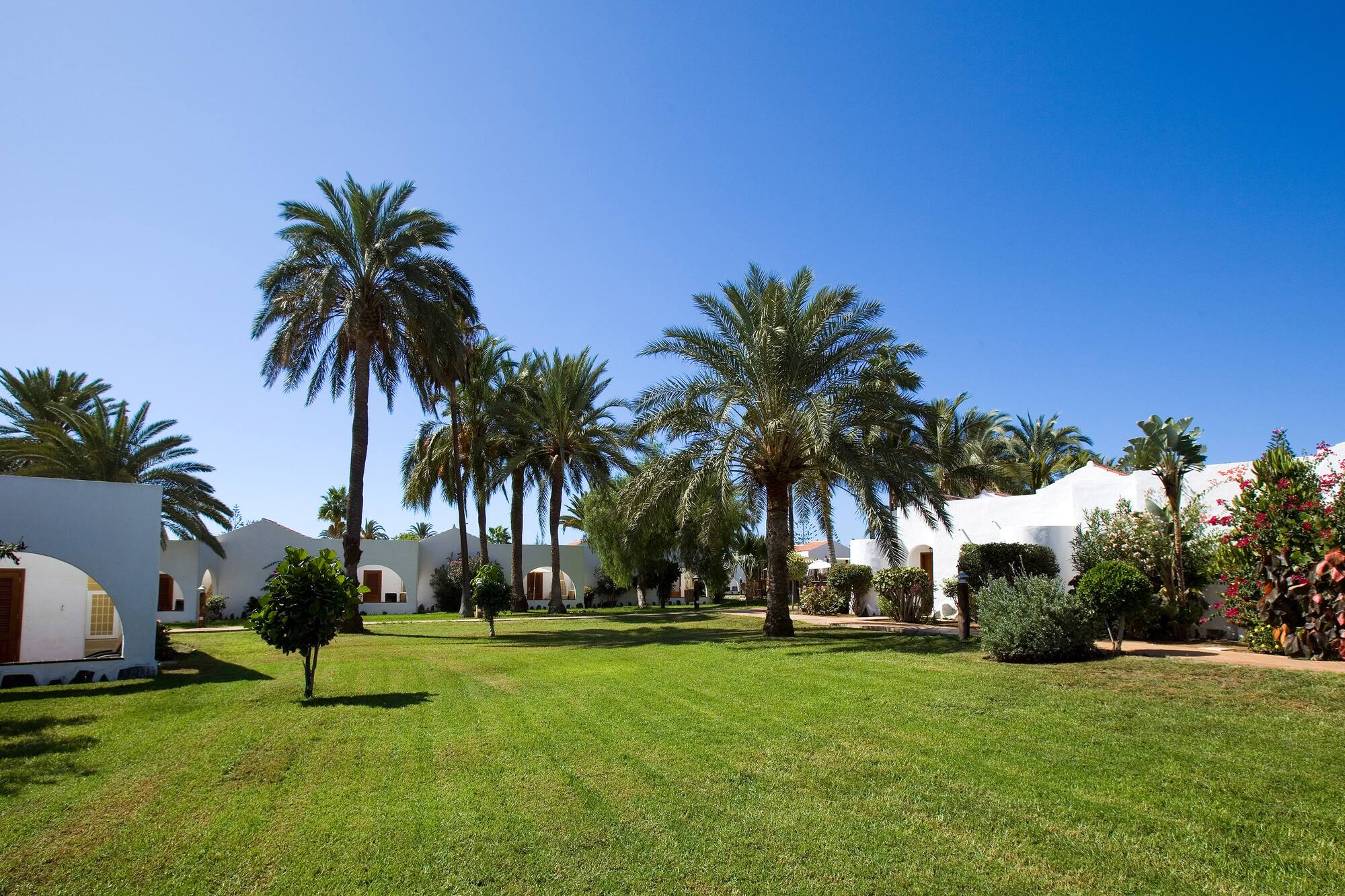 Tropical resort: white bungalows, palm trees, and sunny green lawn.