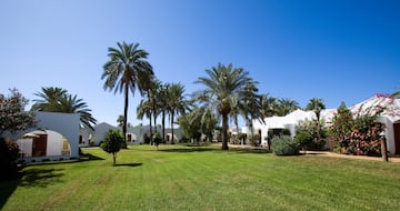 a lawn with palm trees and buildings