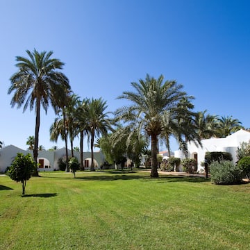 a lawn with palm trees and buildings