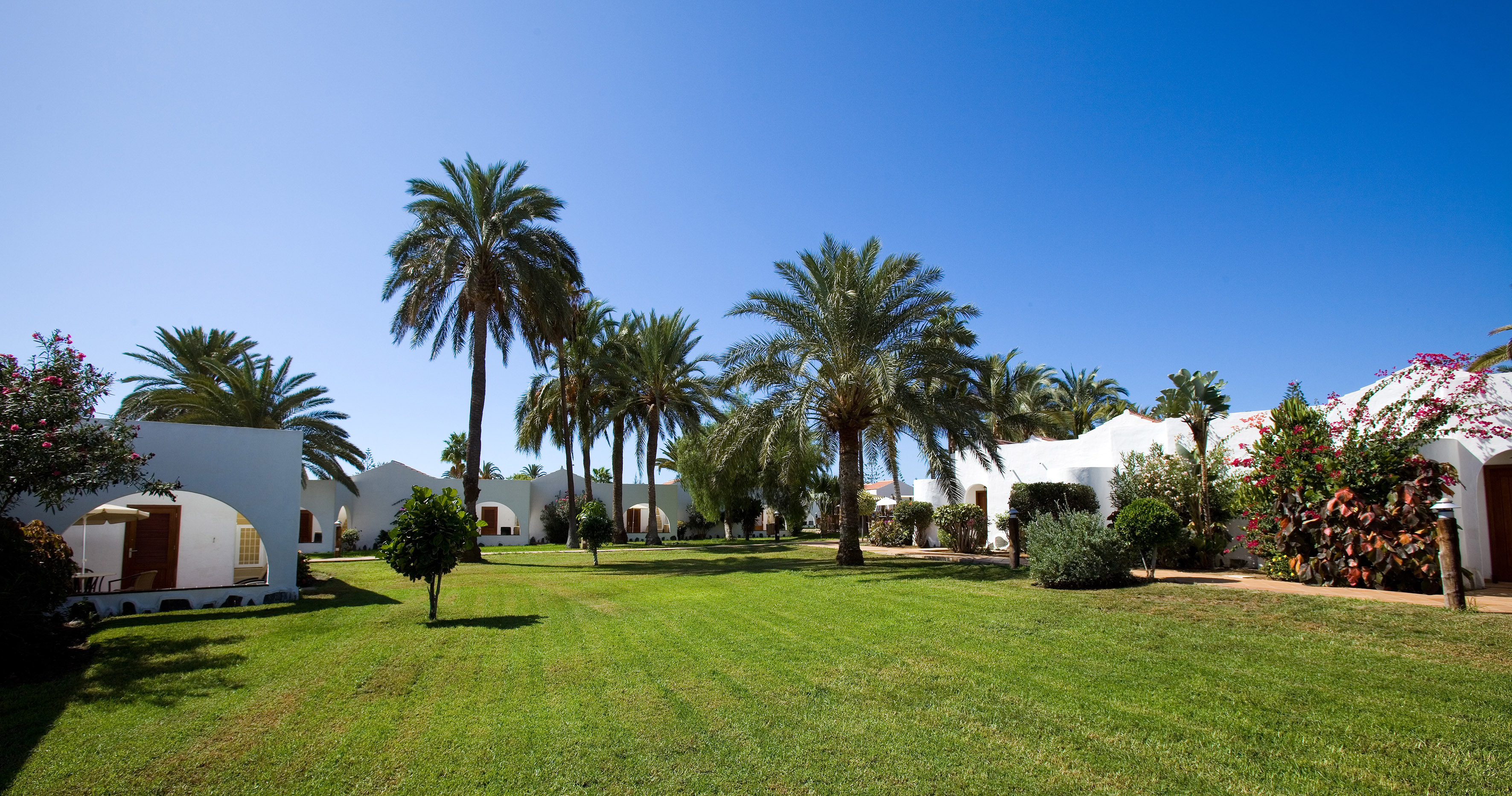 Tropical resort: white bungalows, palm trees, and sunny green lawn.
