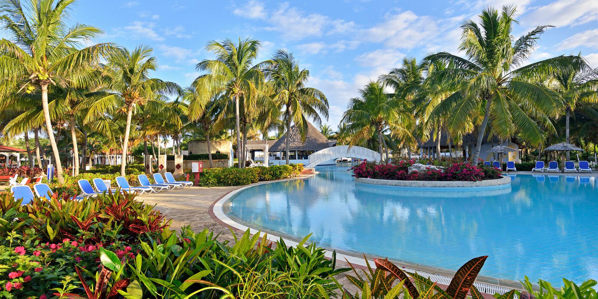 a pool with palm trees and a bridge