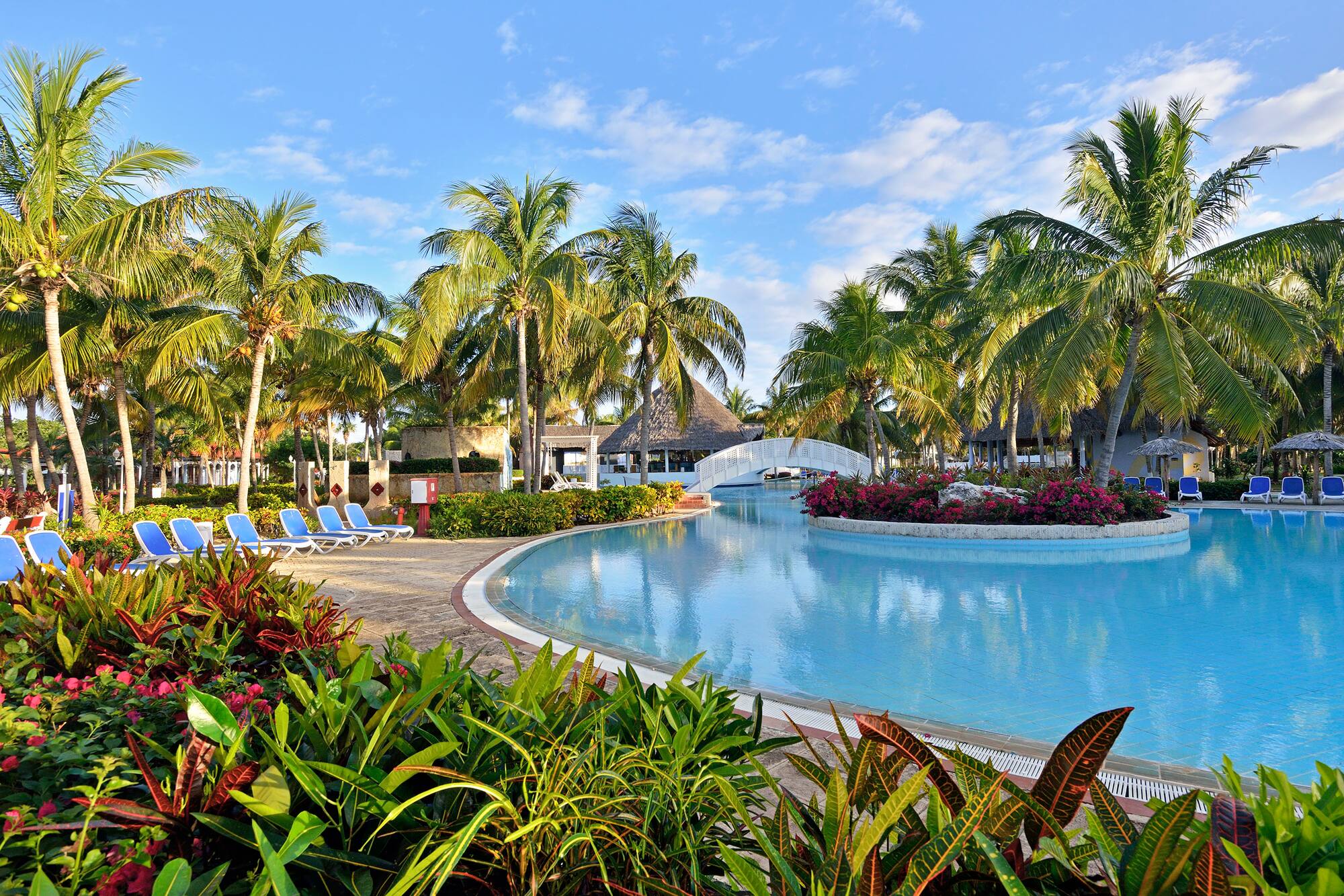 a pool with palm trees and a bridge