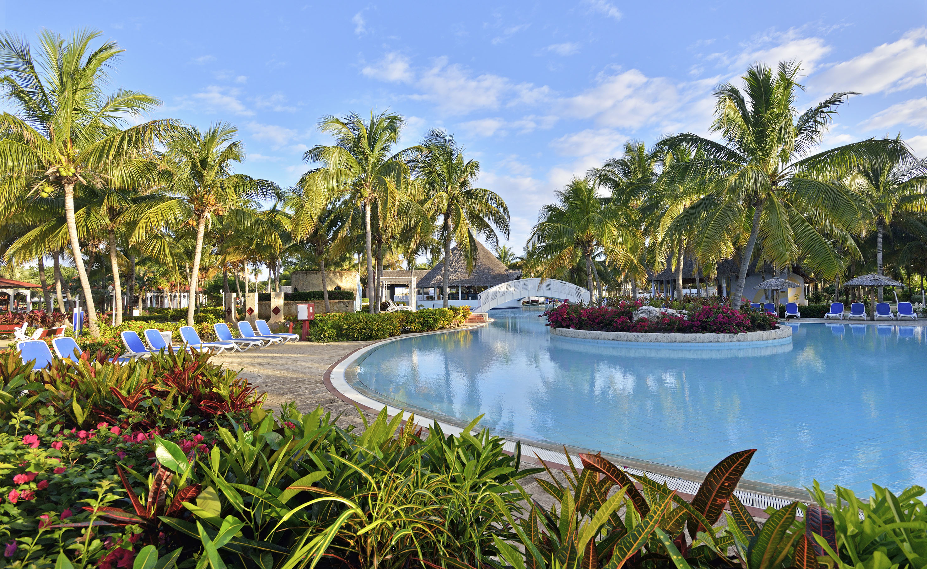 a pool with palm trees and a bridge