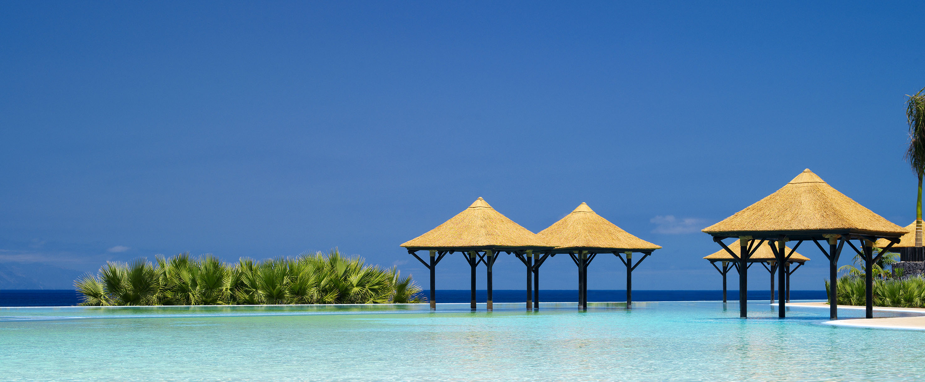 Tropical infinity pool with thatched gazebos, ocean, and palms.