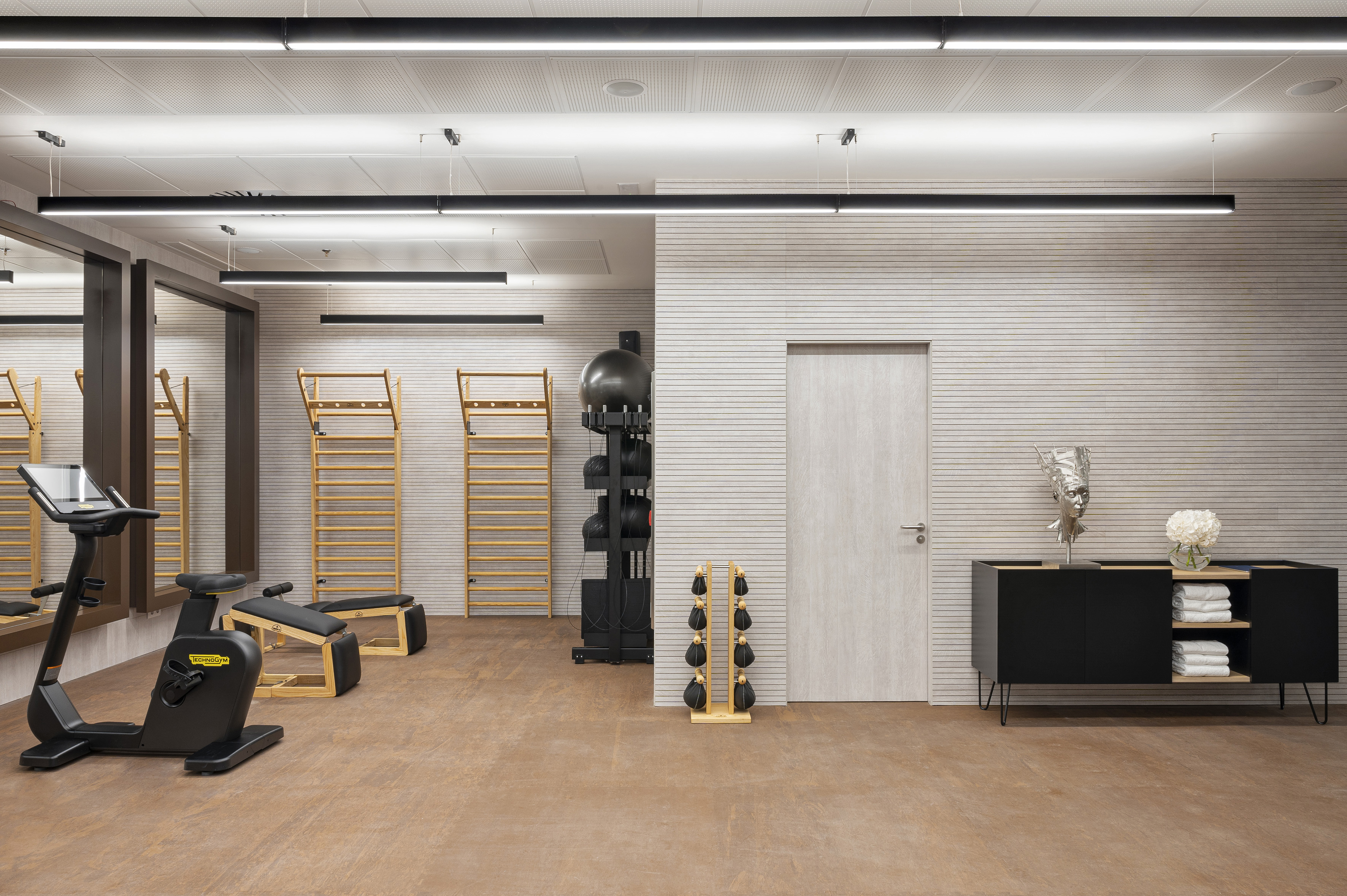 Modern gym featuring exercise bike, wall bars, and dumbbells.