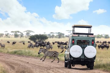 a zebra running on a dirt road