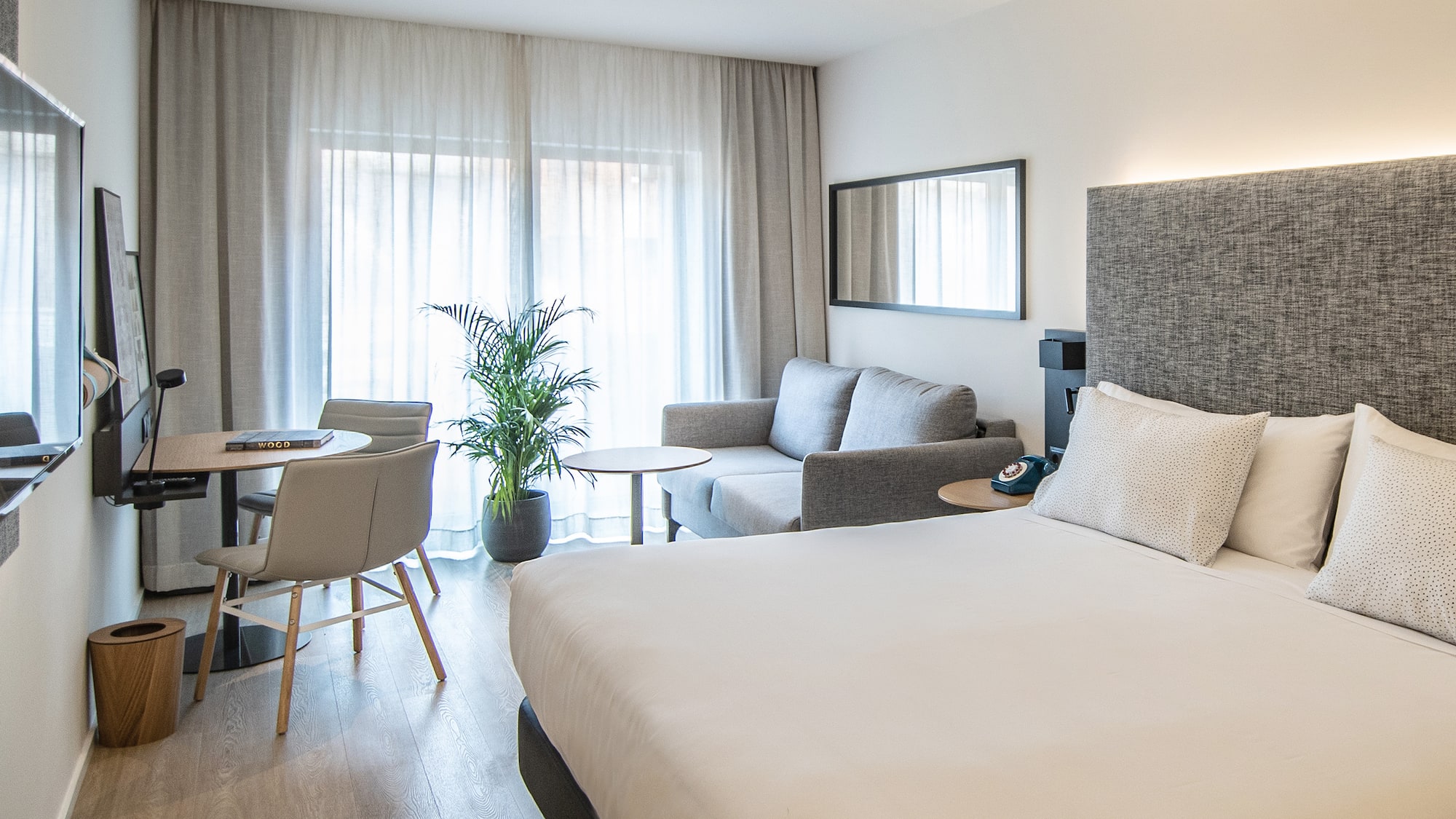 a room with a bed and a couch