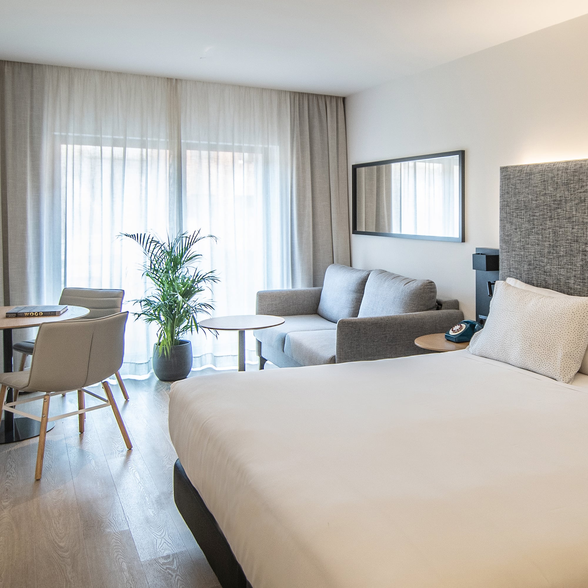 a room with a bed and a couch