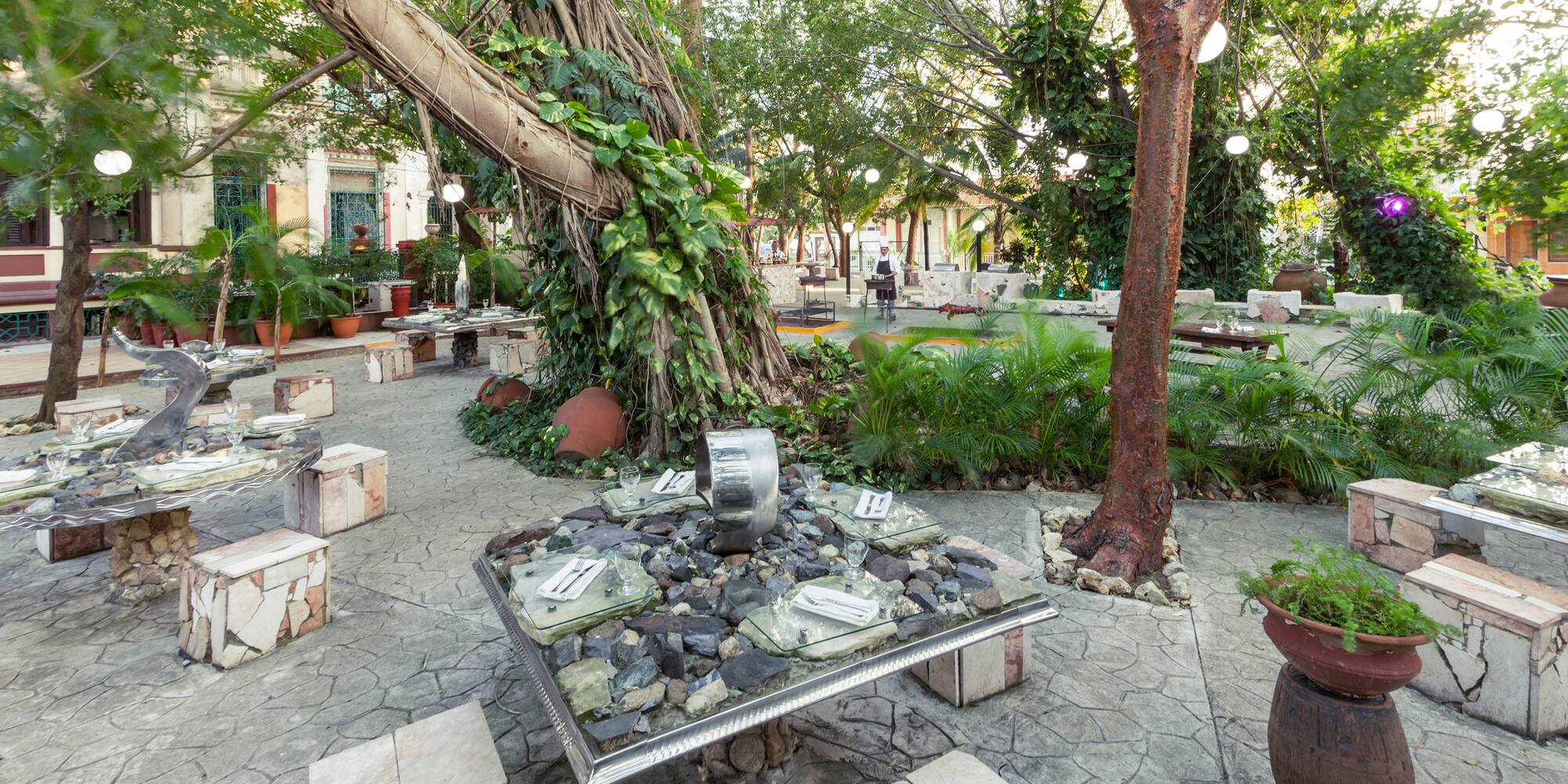 a table with rocks and a tree in the middle