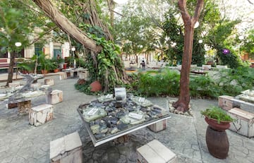 a table with rocks and a tree in the middle