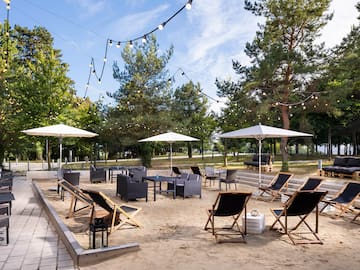 chairs and umbrellas in a park