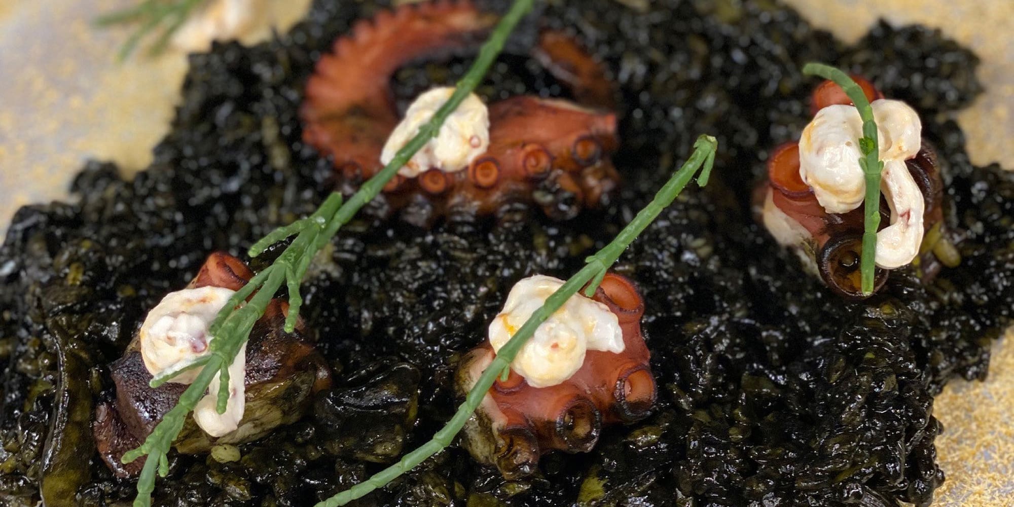 a plate of food on a table