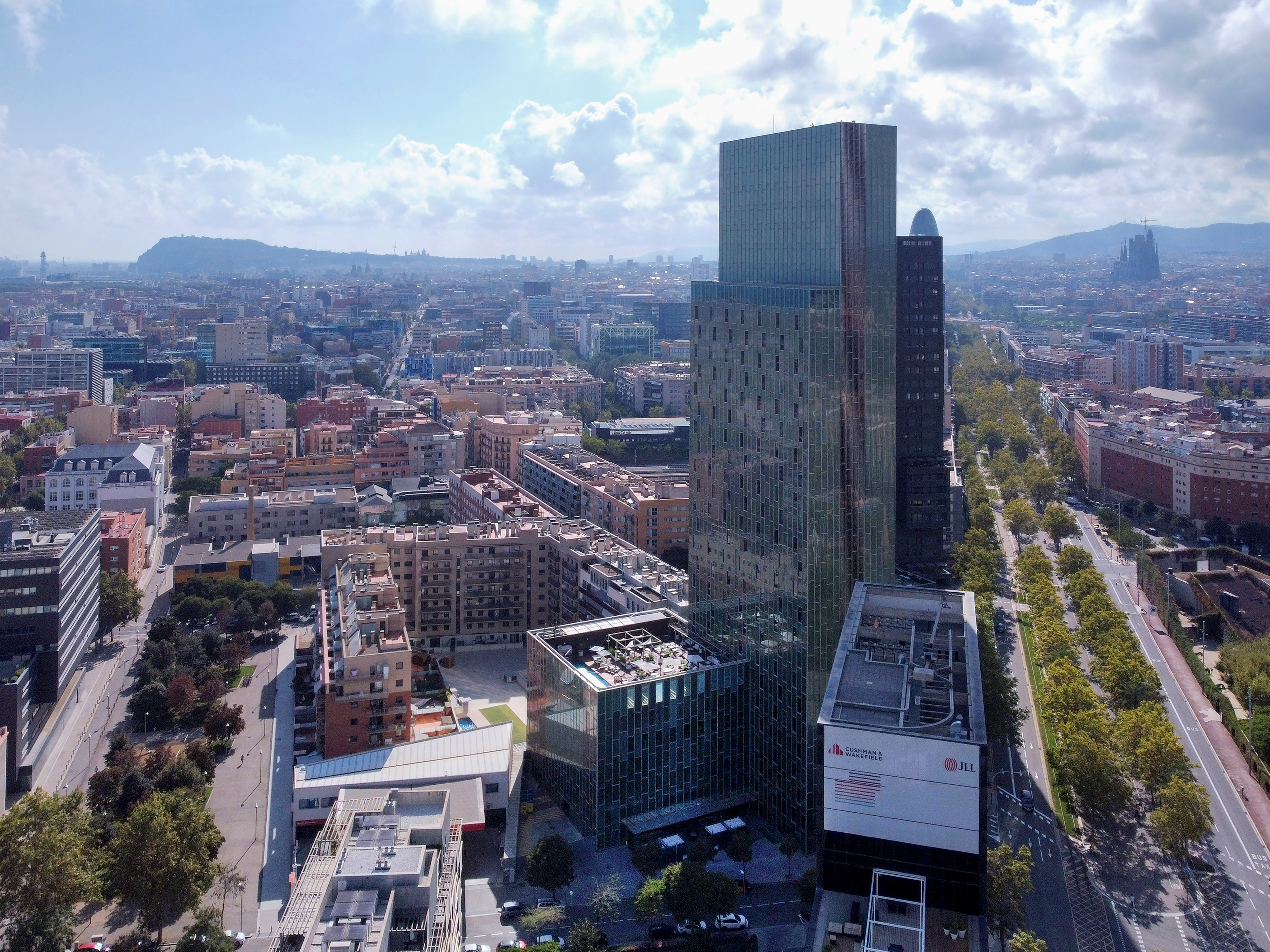 a city with many buildings and trees