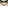 Elegant ballroom with set tables, white chairs, and floral decor for banquet or wedding.