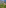 Golf resort with green courses, lake, themed village, and distant mountains.