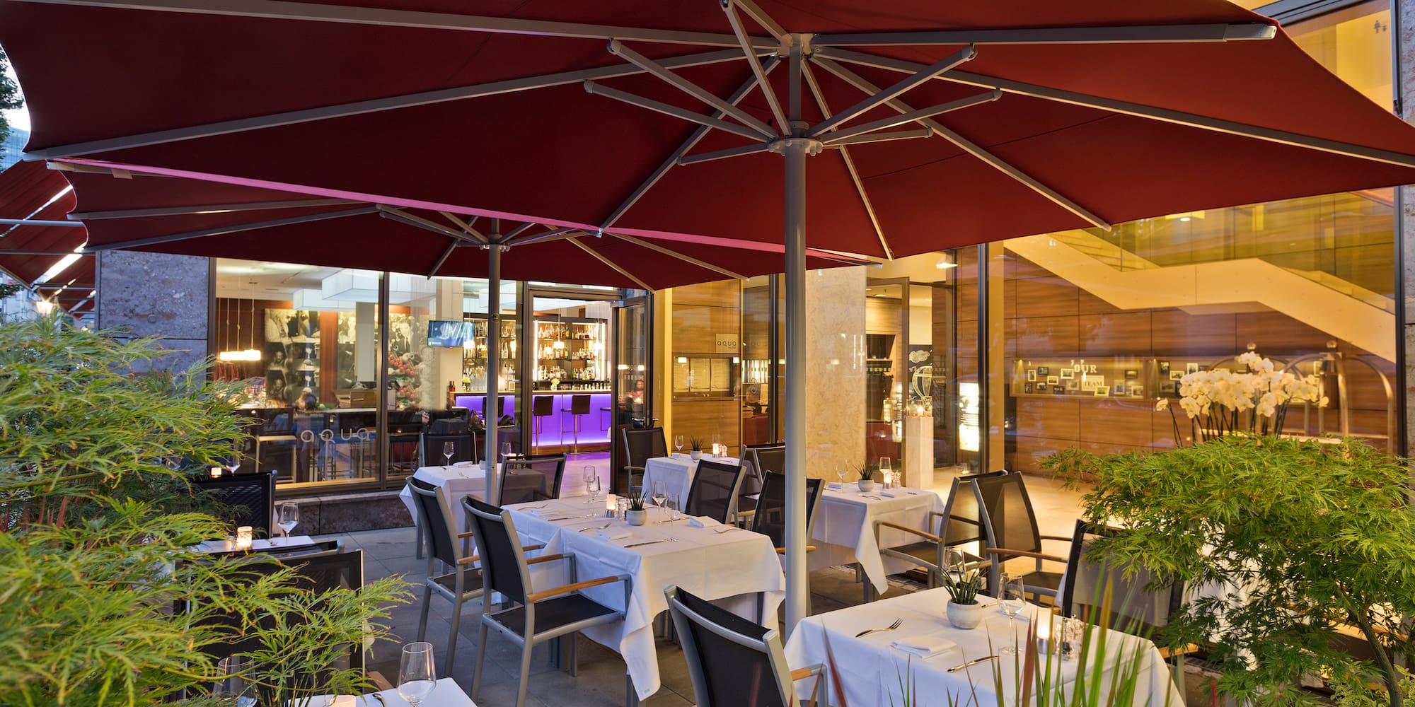 a restaurant with tables and chairs