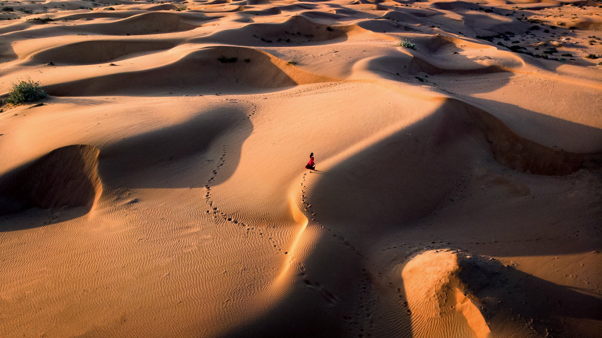 a person walking in the desert