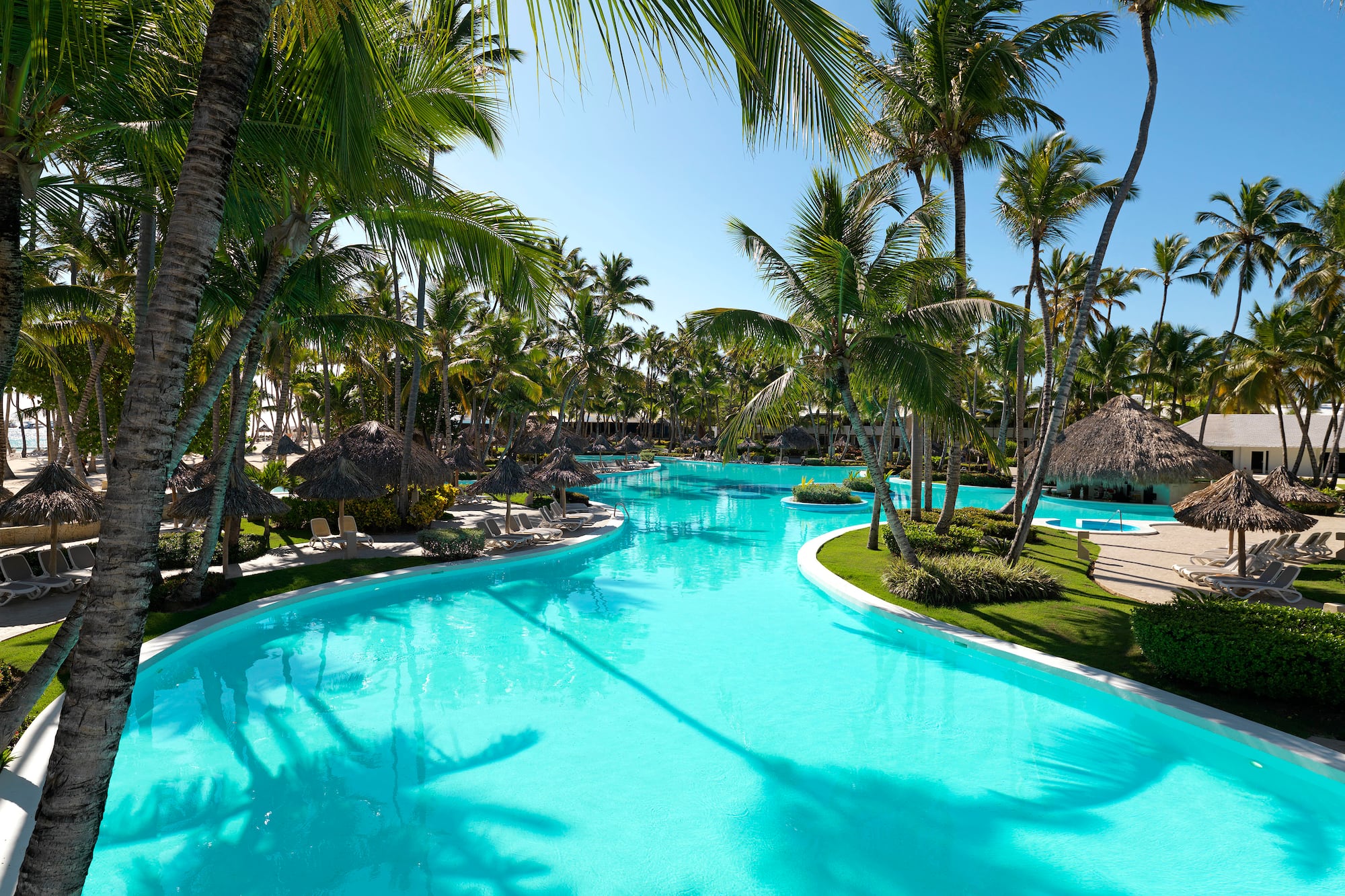 a pool with palm trees and a hut